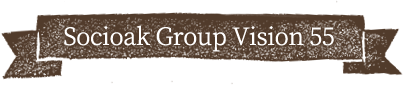 Socioak Group Vision 55